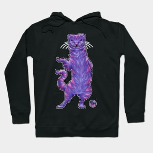 The Cheshire Cat Ferret - White Outlined Version Hoodie